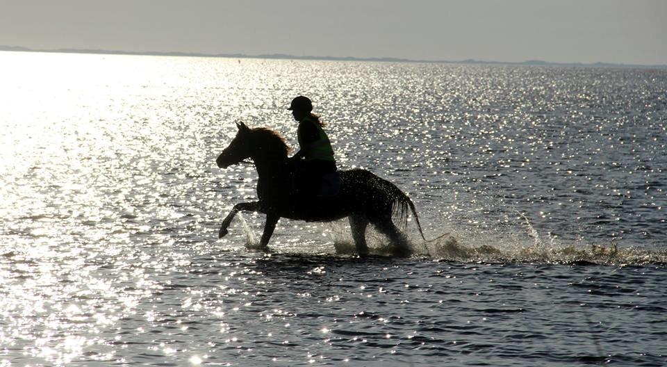 DSP Quien - Yes endelig i fjorden, sammen med FU billede 7