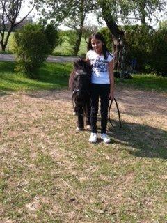 Shetlænder ~Tøsen~ min lille madonna<3 - hsm:) billede 3