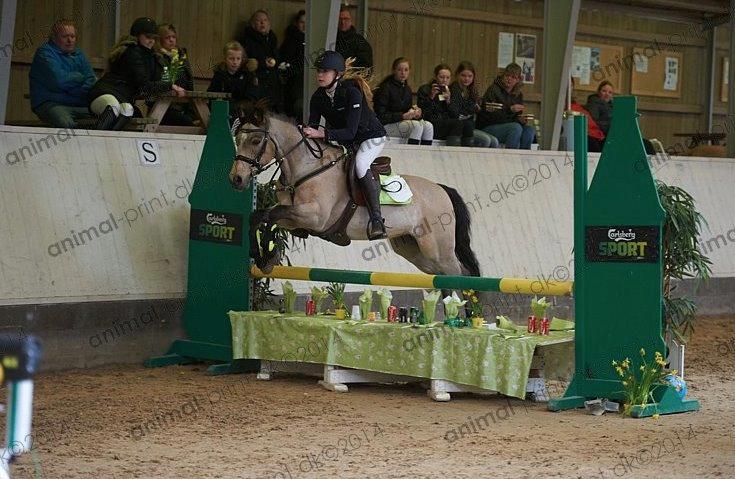 DSP Toojour (Tutter) - LA billede 15