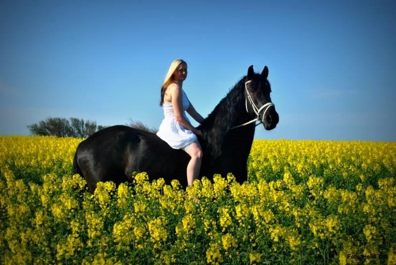 Frieser Maaike Van Nieuw Vels billede 3