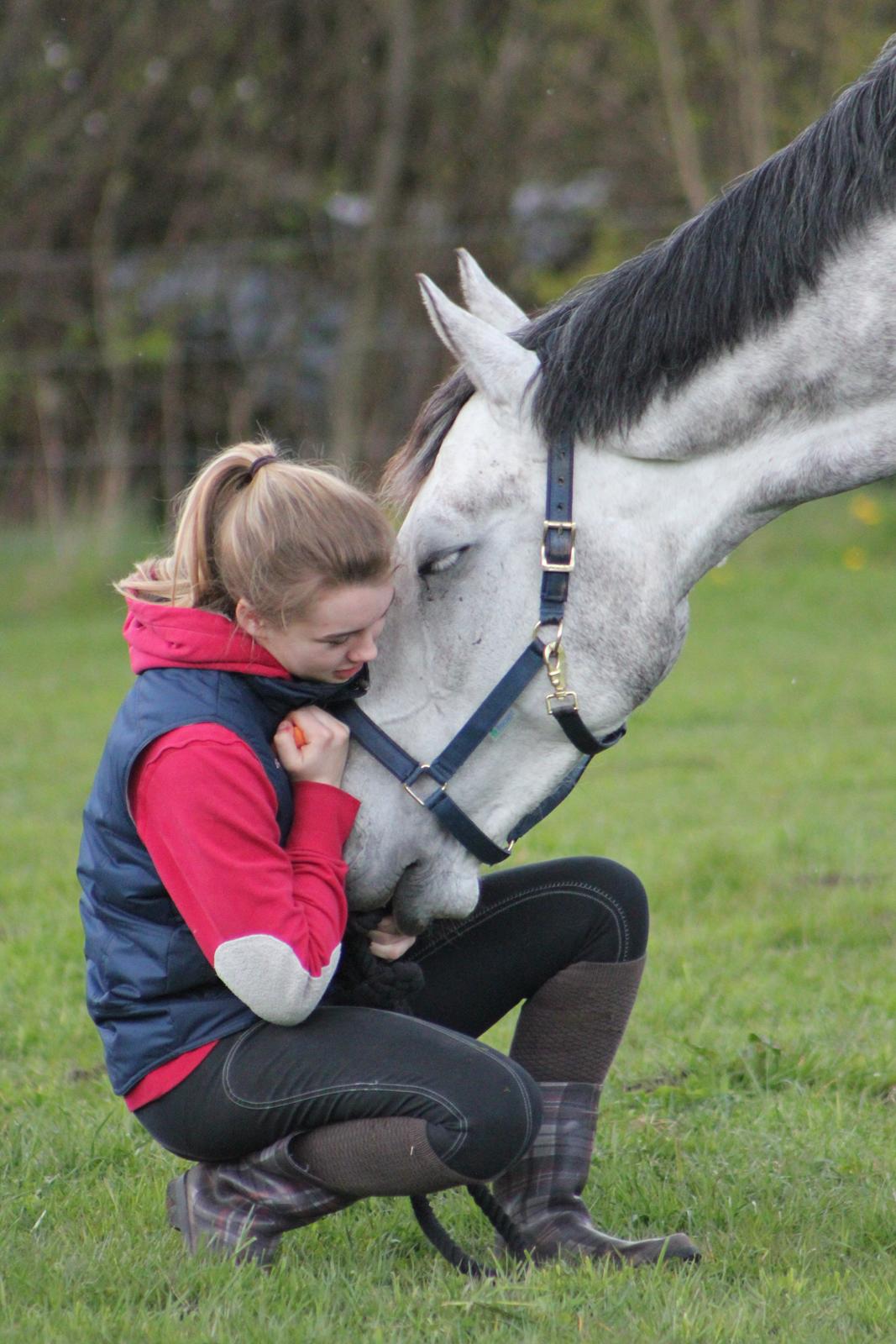 Dansk Varmblod Schubang Agerled - Elsker min baby hest <3 billede 8