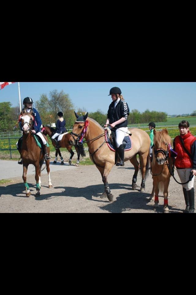 Anden særlig race Lac Lemon Lakriz ( soulmate) billede 17