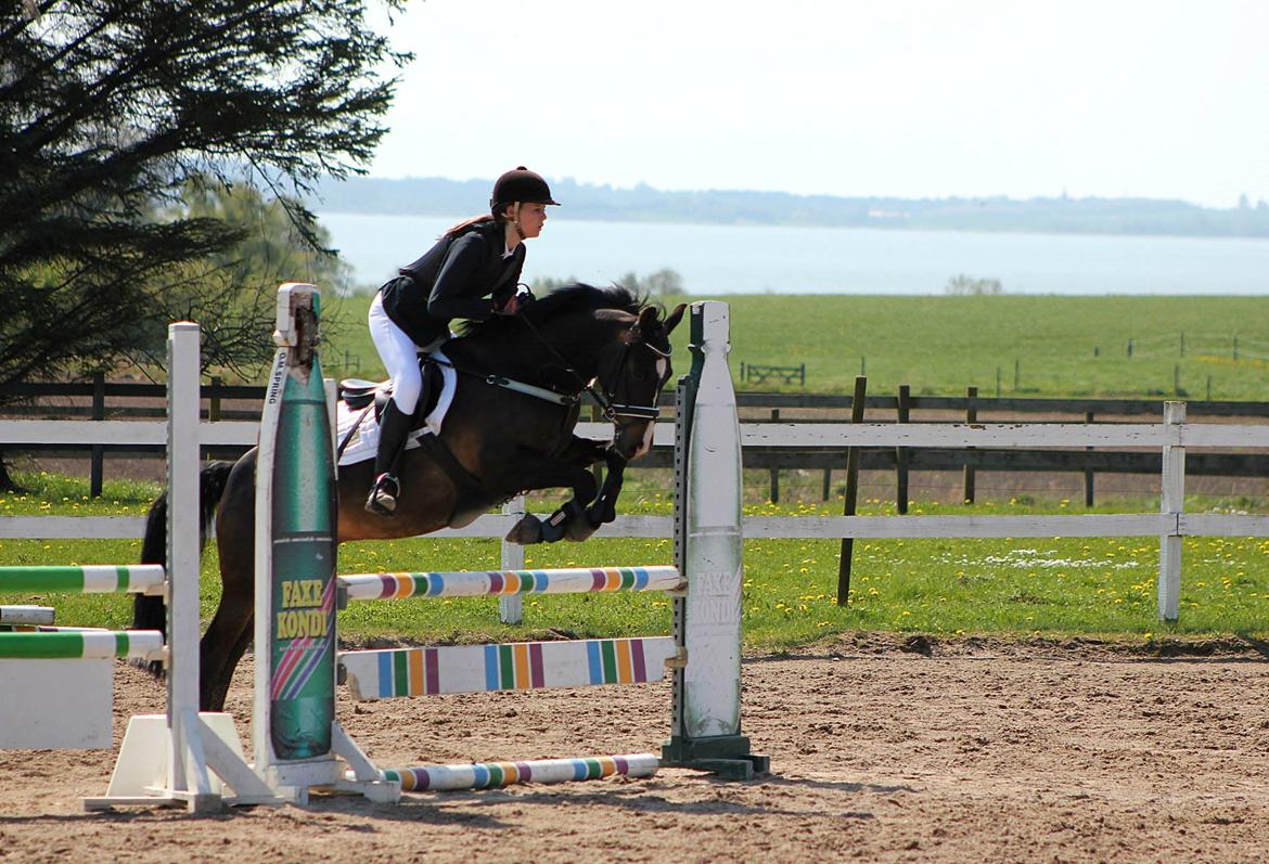 DSP Sebastian B-pony  - HSK første C-stævne (LB**) d. 27/4 2014 billede 6