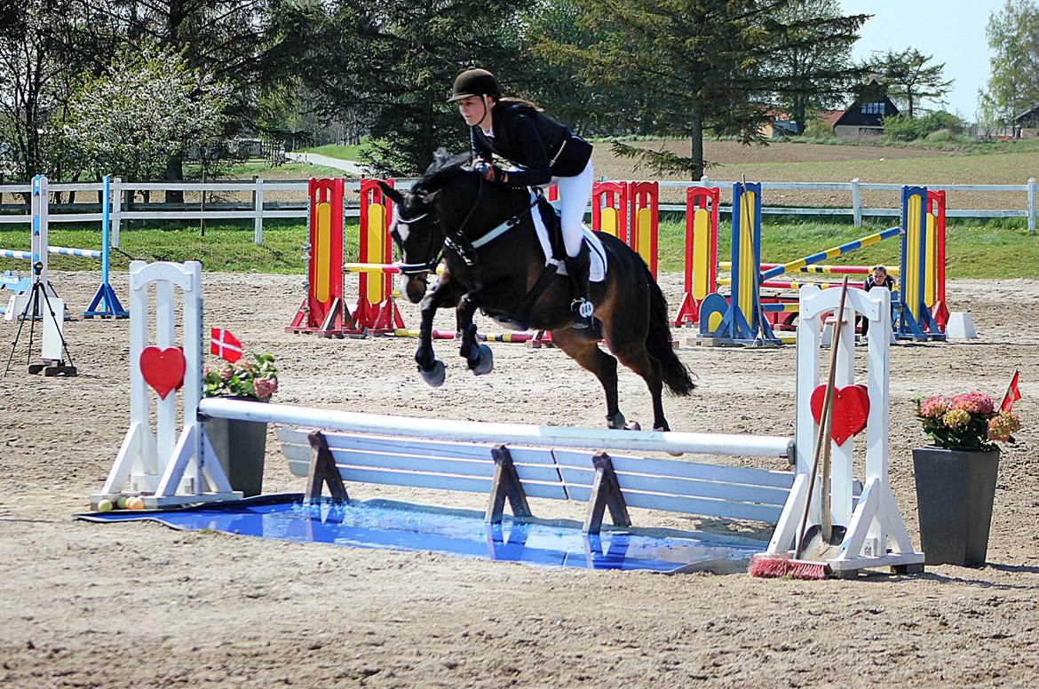 DSP Sebastian B-pony  - Første C-stævne (LB**) HSK d. 27/4 2014  billede 4