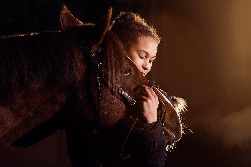 DSP Firhøjs Papillon billede 17