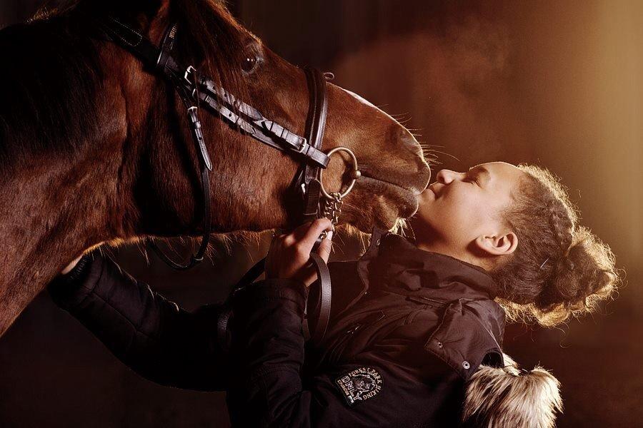 DSP Firhøjs Papillon billede 18