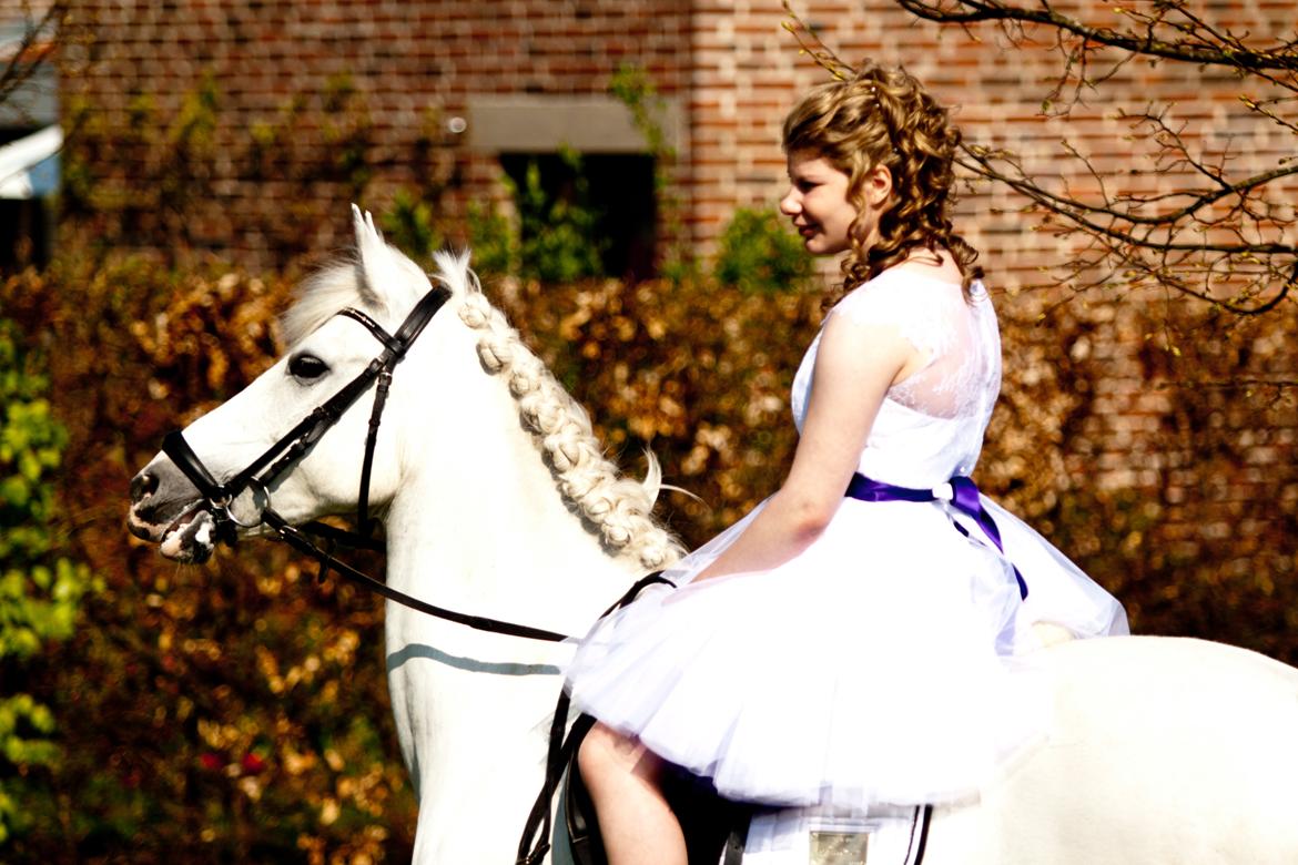 Anden særlig race Milky Way billede 9