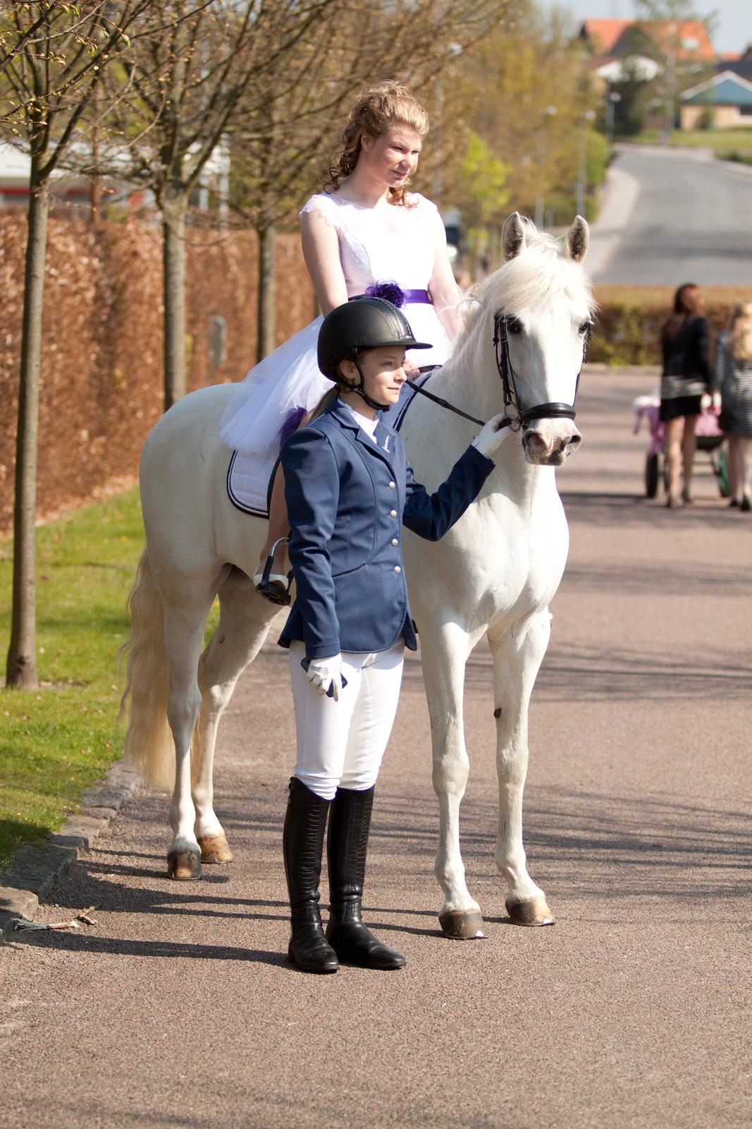 Anden særlig race Milky Way billede 3