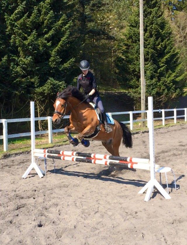 New Forest Picandt<3 *soulmate* billede 14