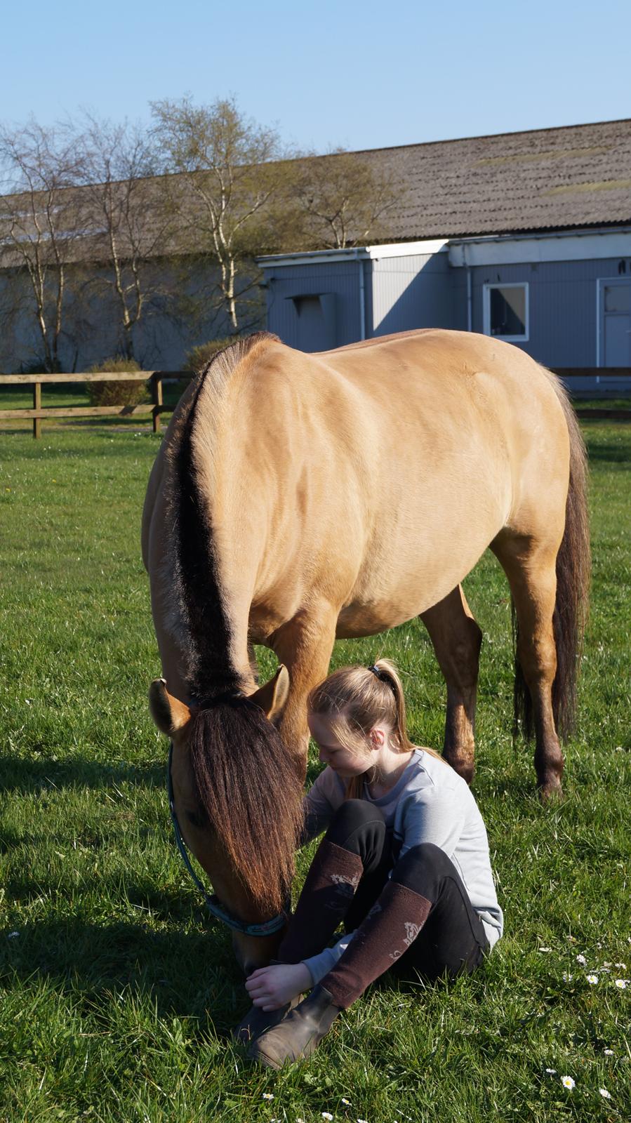 Anden særlig race Joker AKA Jokke billede 2