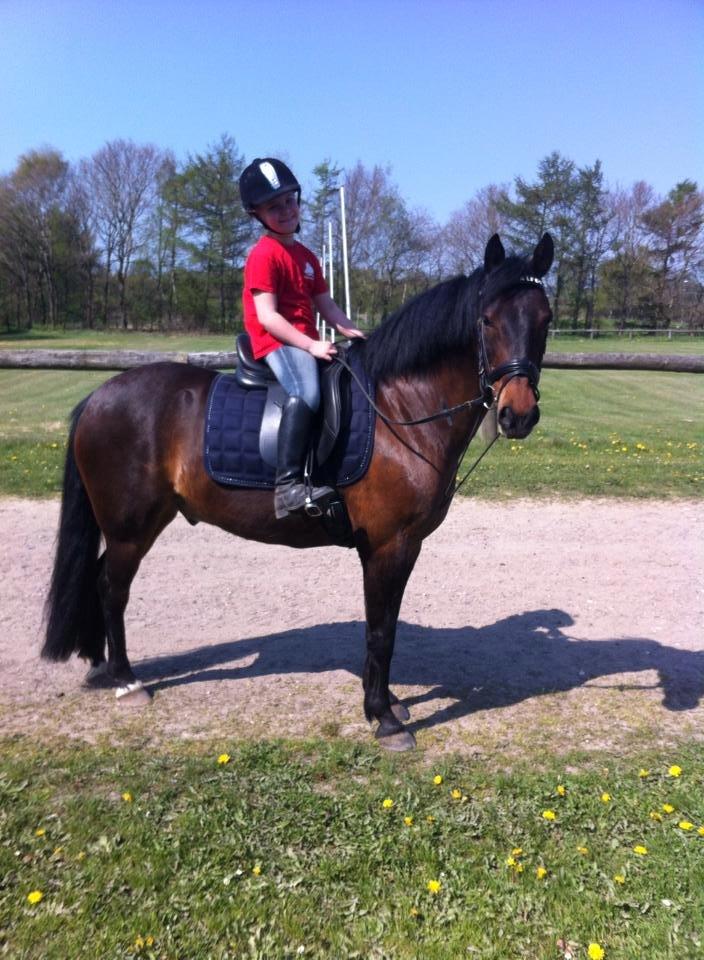 Anden særlig race Tjalfe billede 2