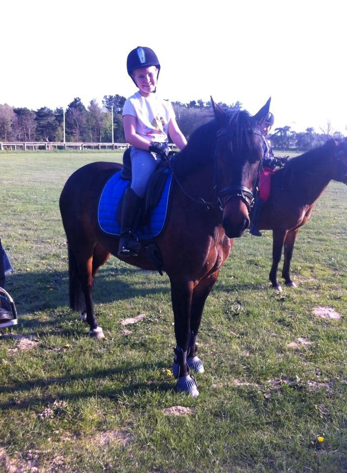 Anden særlig race Tjalfe billede 3