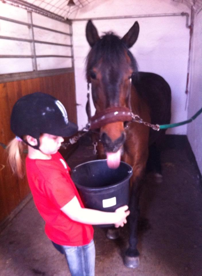 Anden særlig race Tjalfe billede 4