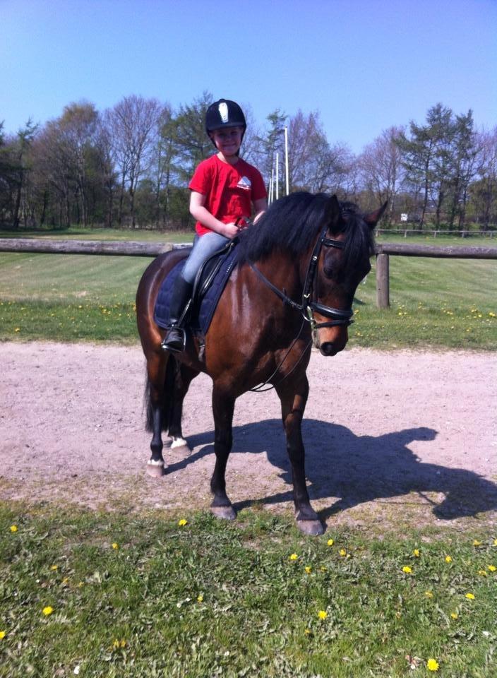 Anden særlig race Tjalfe billede 5