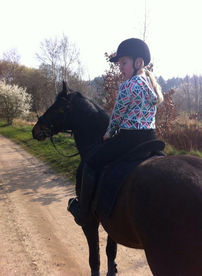 Anden særlig race Tjalfe billede 6