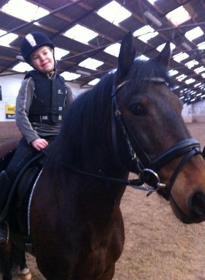 Anden særlig race Tjalfe billede 7