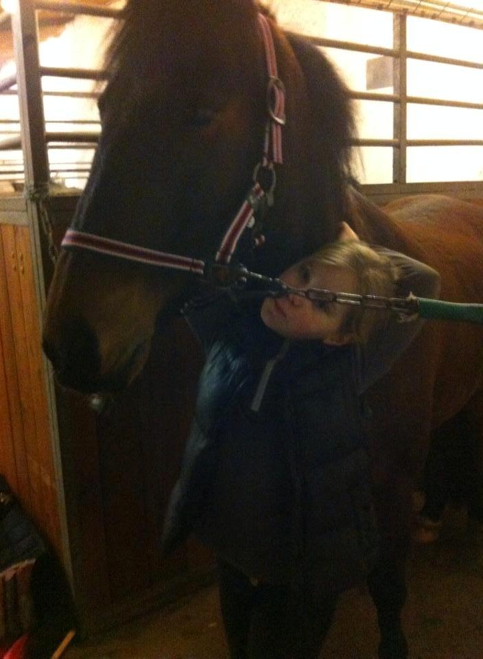 Anden særlig race Tjalfe billede 8