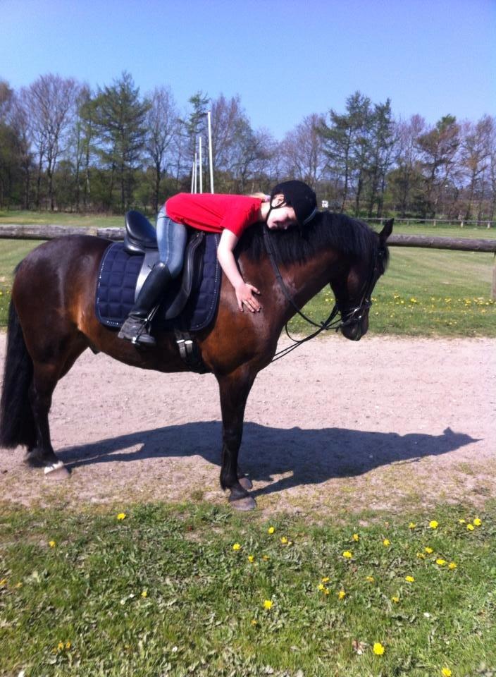 Anden særlig race Tjalfe billede 10