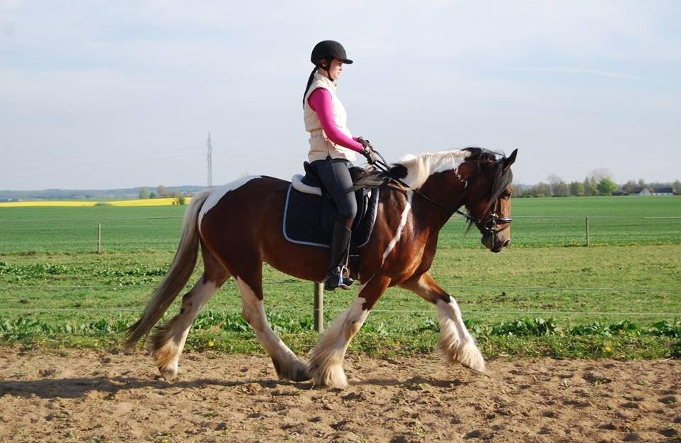 Tinker Satin's Con Fetti - Træning 29 april 2014 billede 20