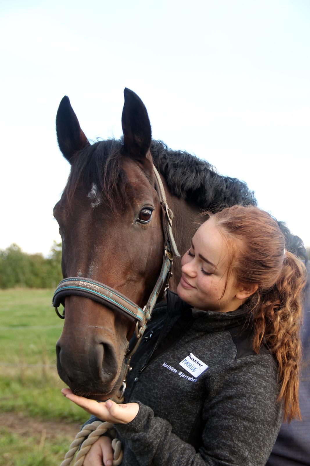 DSP Darling (Prinsessen<3) - Verdens bedste pony og verdens bedste veninde Mathilde <3 billede 22