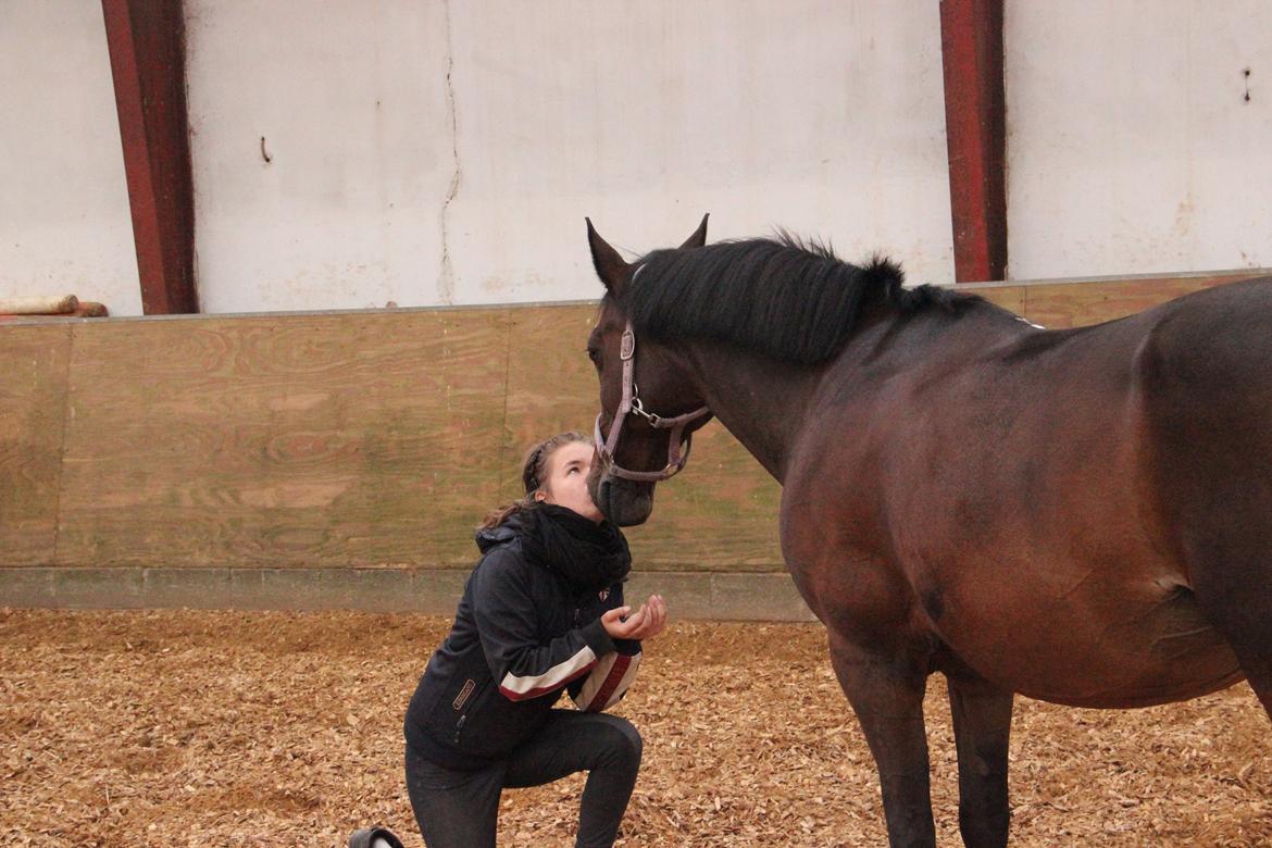 DSP Darling (Prinsessen<3) - You're the best <3 billede 24