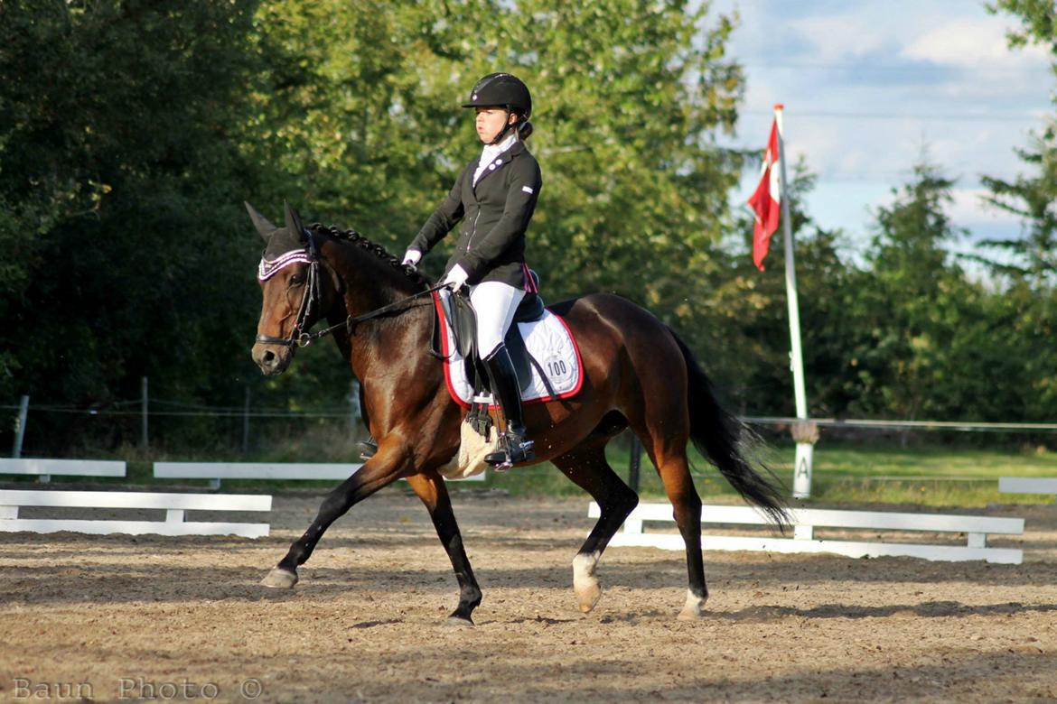 DSP Darling (Prinsessen<3) - Bording 2013, første LA4 <3 billede 35