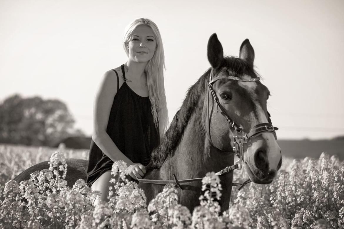 Anden særlig race Jari billede 43