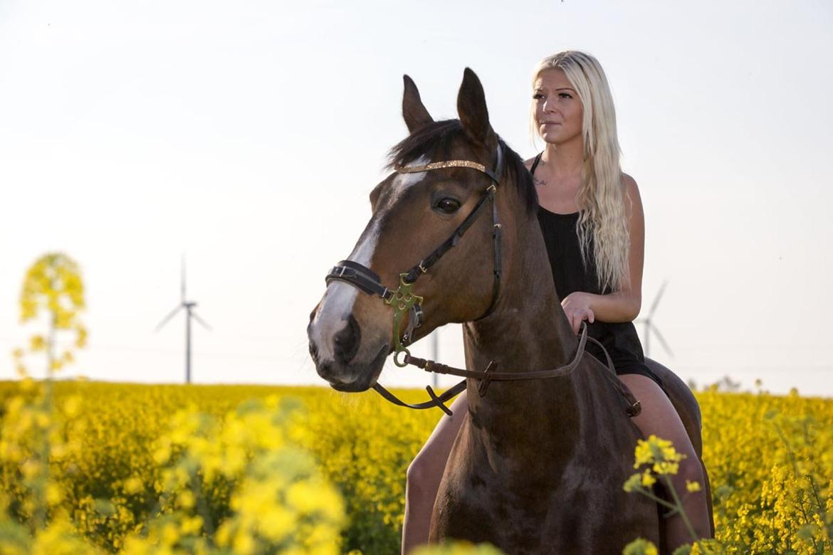 Anden særlig race Jari billede 44