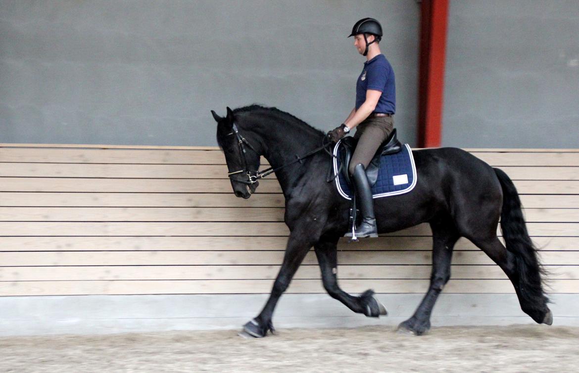 Frieser Max, STER - Max rides af Dennis Holst billede 10