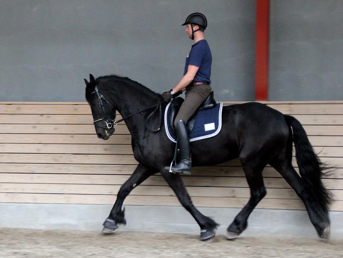 Frieser Max, STER - Max rides af Dennis Holst billede 9