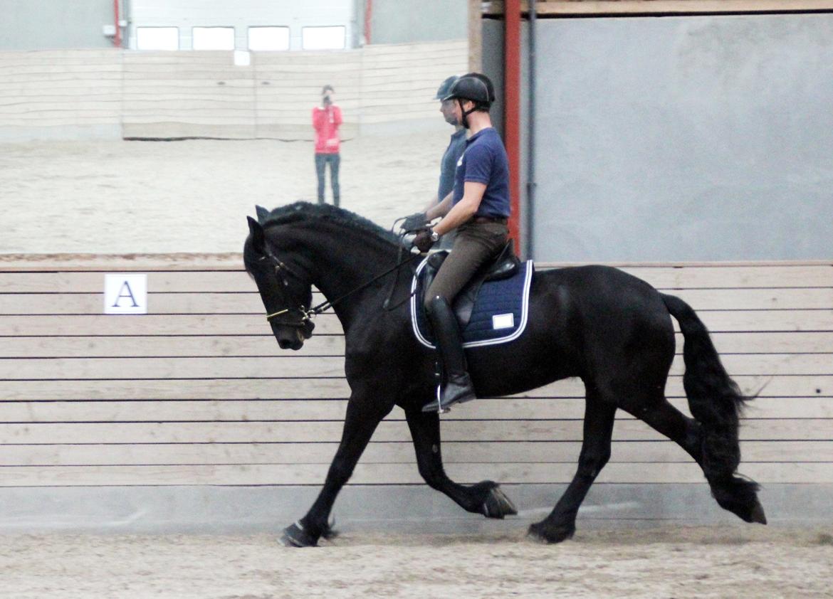 Frieser Max, STER - Max rides af Dennis Holst billede 8