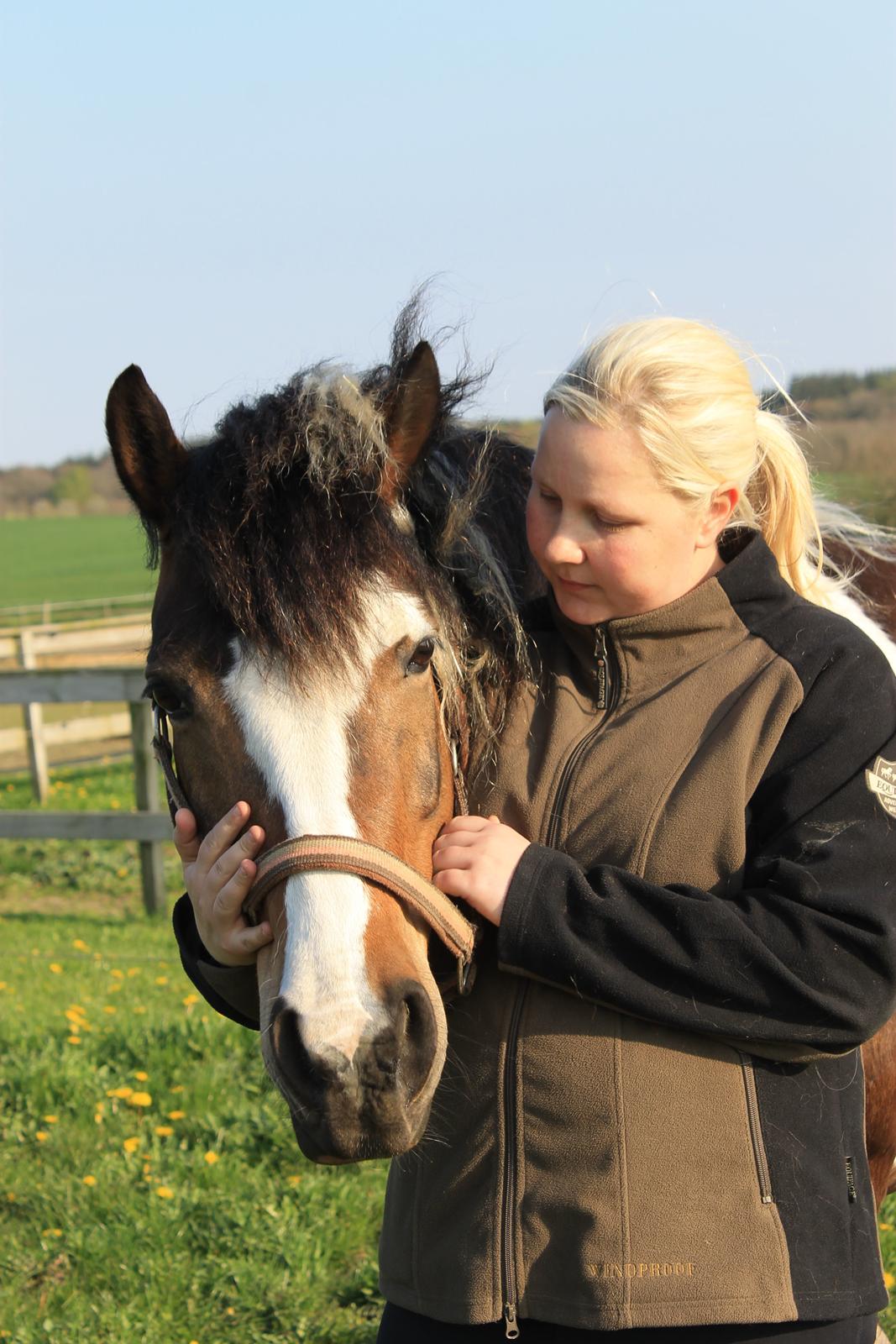 Pinto Bonita billede 38