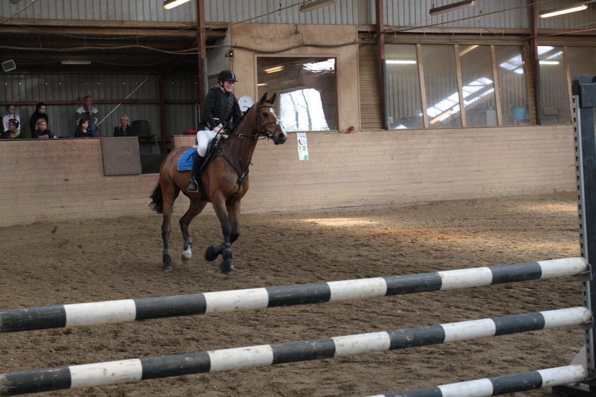 Holstener Ca Reim (Solgt) billede 8