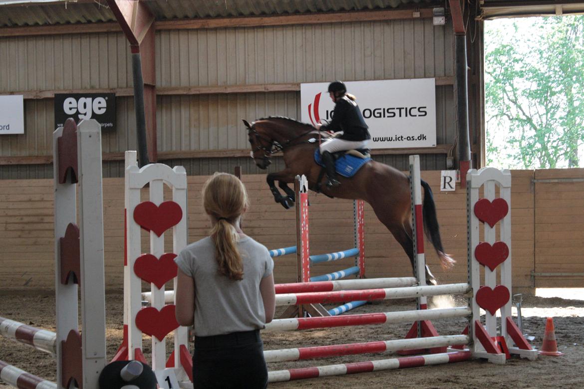 Holstener Ca Reim (Solgt) billede 9