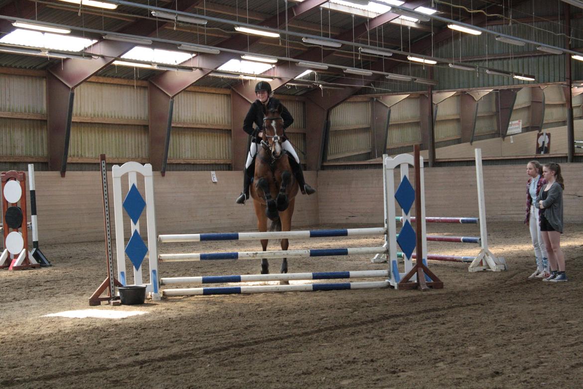 Holstener Ca Reim (Solgt) billede 11