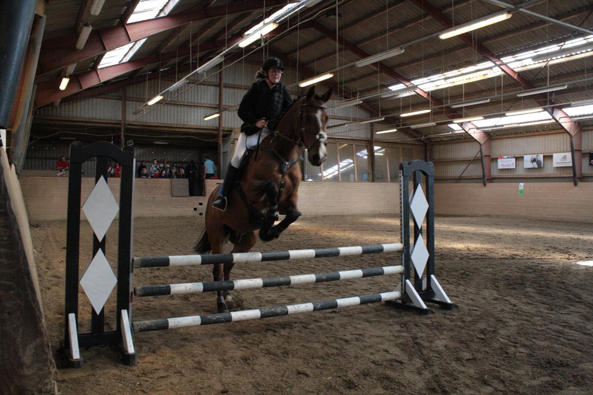 Holstener Ca Reim (Solgt) billede 10