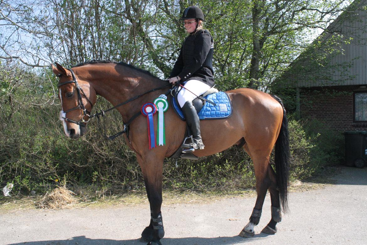 Holstener Ca Reim (Solgt) billede 2