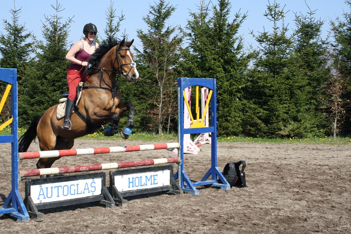 Holstener Ca Reim (Solgt) billede 6