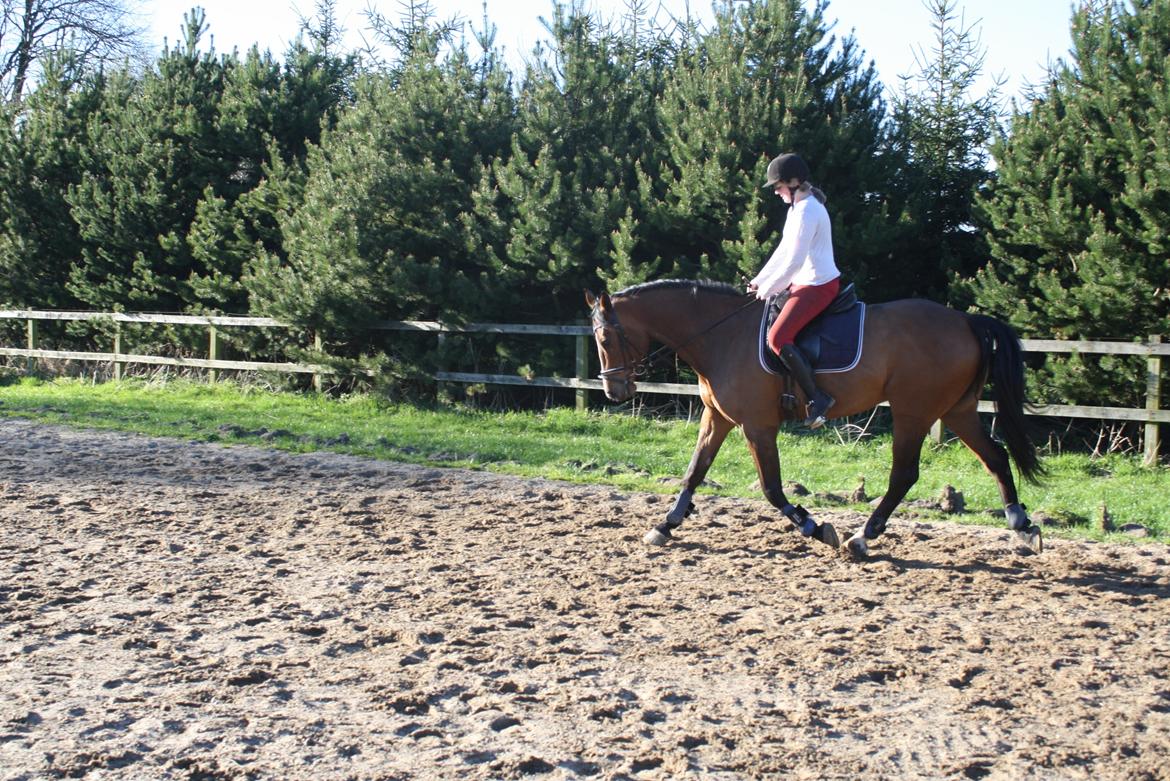 Holstener Ca Reim (Solgt) billede 14