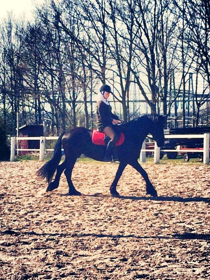 Frieser $Birka$[Tid.Part] - Velkommen :-) billede 1