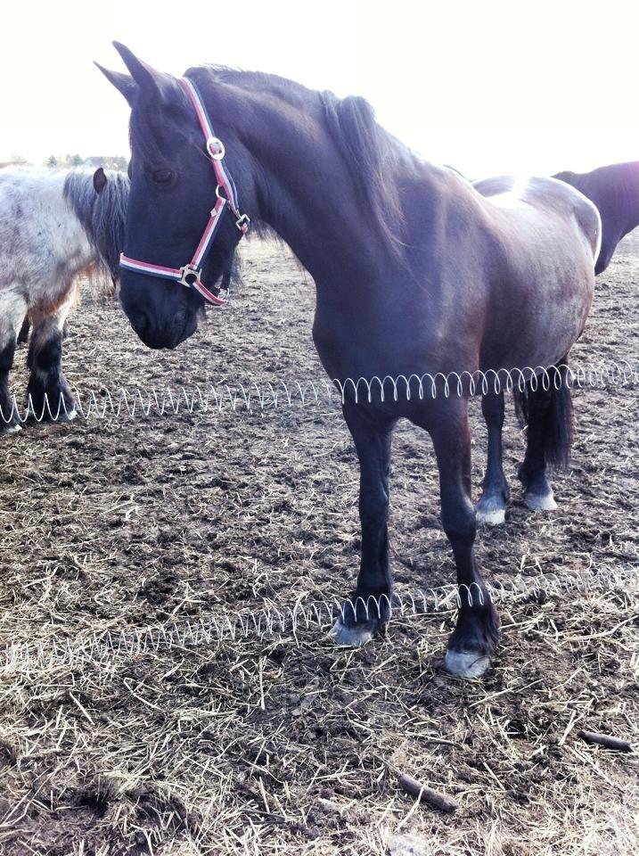 Frieser $Birka$[Tid.Part] - >> Im SEXY and I KNO IT ! << billede 3