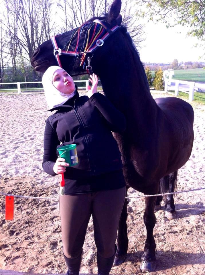 Frieser $Birka$[Tid.Part] - DIVA $$$$$$ billede 5