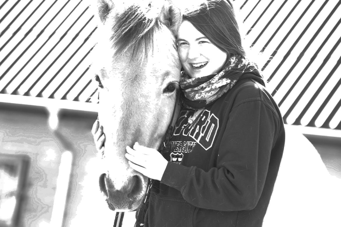 Fjordhest Bjerkan - April 2014 - glad pony efter første gang i lange liner. billede 1