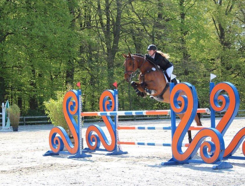 Holstener Quite la bryere billede 2