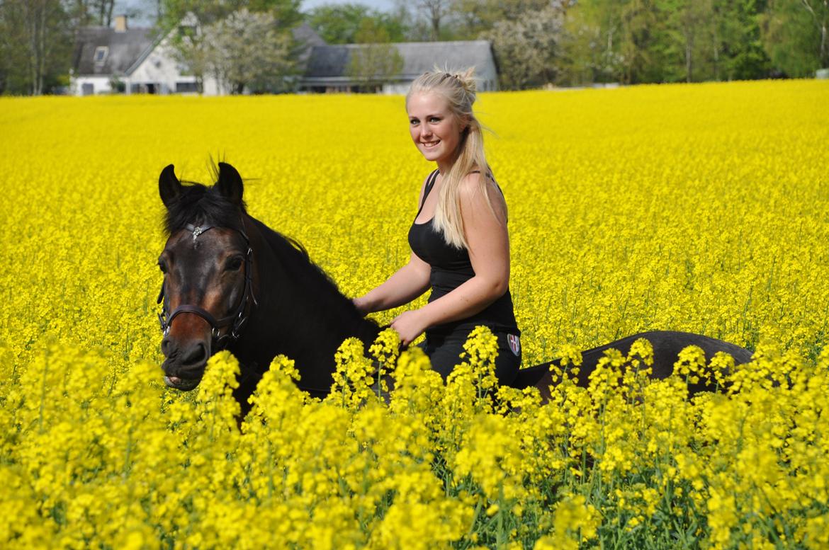 New Forest Kabrit's Acapella (anna) billede 2