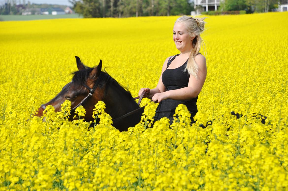 New Forest Kabrit's Acapella (anna) billede 13