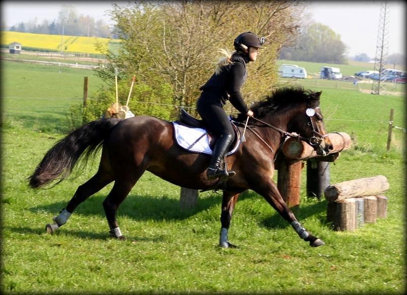 New Forest Kabrit's Acapella (anna) billede 11