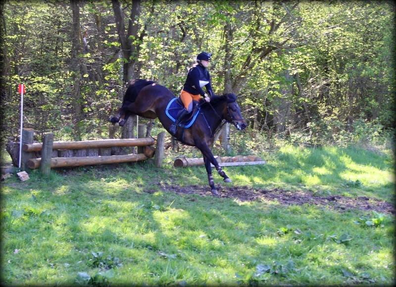 New Forest Kabrit's Acapella (anna) billede 3