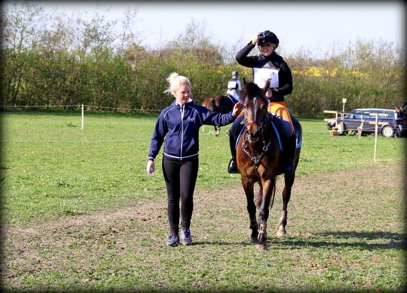 New Forest Kabrit's Acapella (anna) billede 16