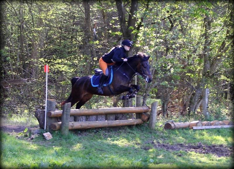 New Forest Kabrit's Acapella (anna) billede 5